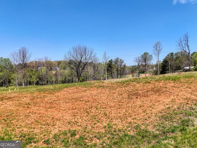 0 Shuler Road, Blairsville, GA 30512
