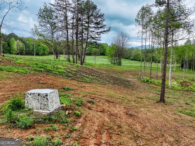 0 Shuler Road, Blairsville, GA 30512