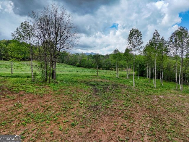 0 Shuler Road, Blairsville, GA 30512