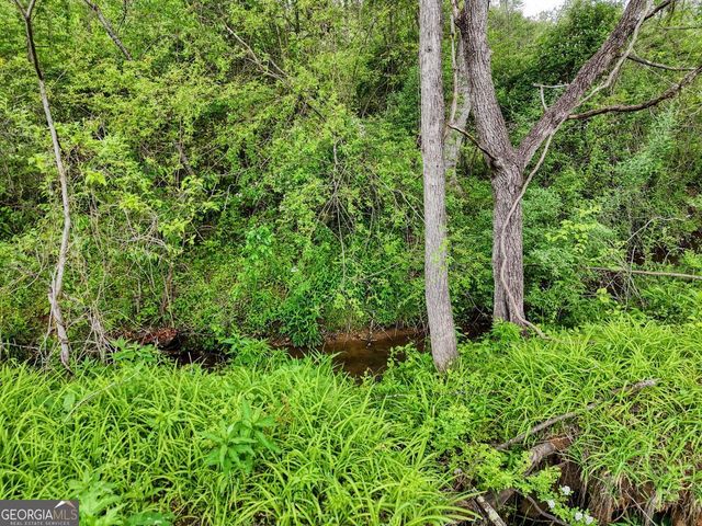 0 Shuler Road, Blairsville, GA 30512