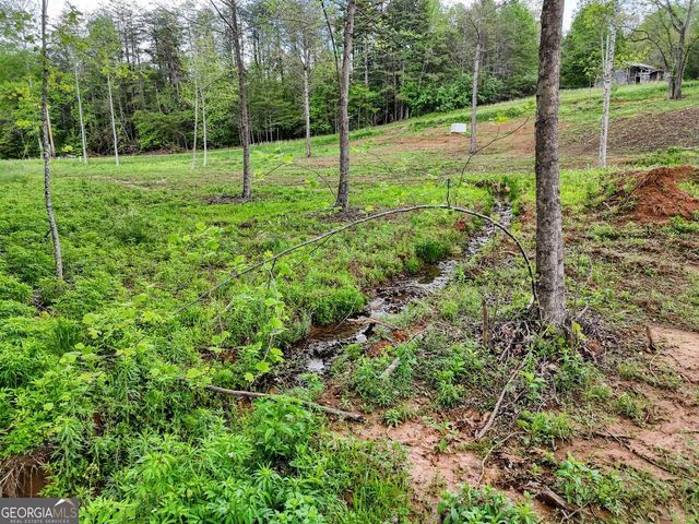 0 Shuler Road, Blairsville, GA 30512