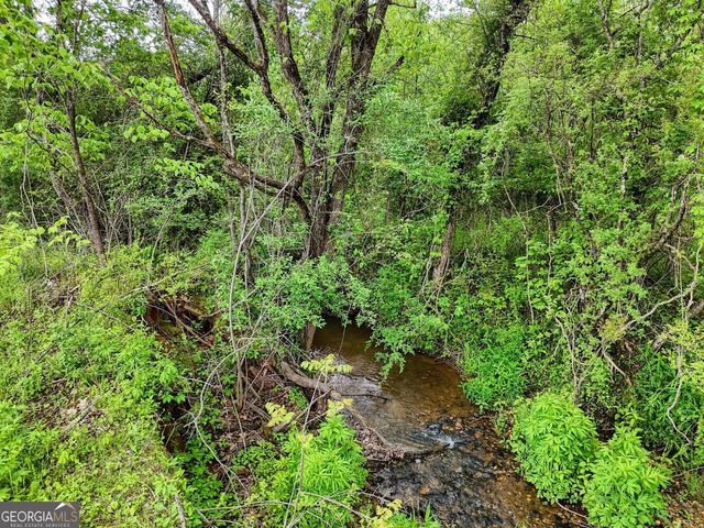 0 Shuler Road, Blairsville, GA 30512