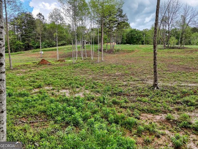 0 Shuler Road, Blairsville, GA 30512