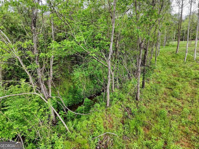 0 Shuler Road, Blairsville, GA 30512