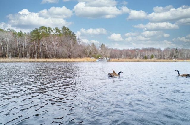 14245 Guadalcanal Street NE, Ham Lake, MN 55304