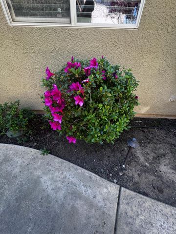 1780 Alicante Dr, Roseville, CA 95747