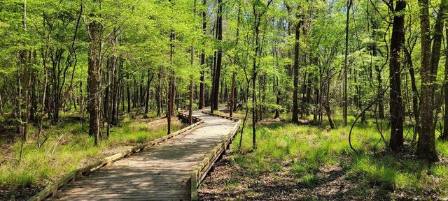 84 Alston Drive, St Augustine, FL 32092