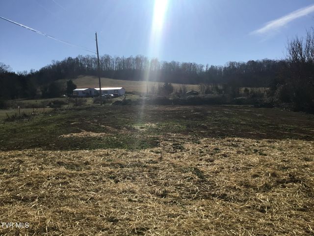 3115 Babbs Mill Road, Afton, TN 37616