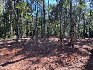 Xxx W A Walker Road, Mccomb, MS 39648
