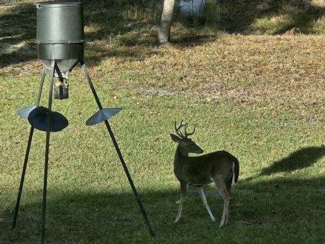 4250 NW 81ST LANE, Bell, FL 32619