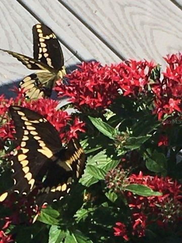 4250 NW 81ST LANE, Bell, FL 32619