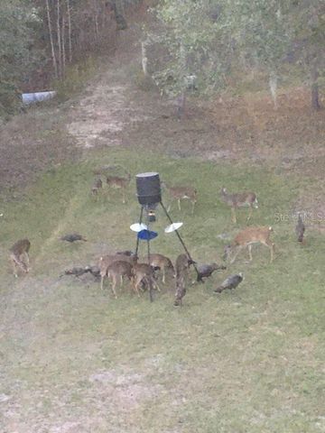 4250 NW 81ST LANE, Bell, FL 32619