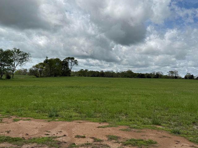 3205 Johns Ford Road, Rogersville, MO 65742