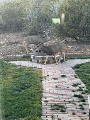 19 Eastview Lane, Stanley, NM 87056