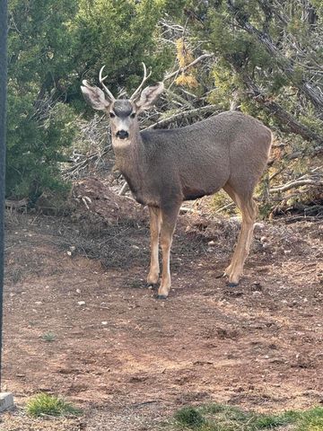 19 Eastview Lane, Stanley, NM 87056