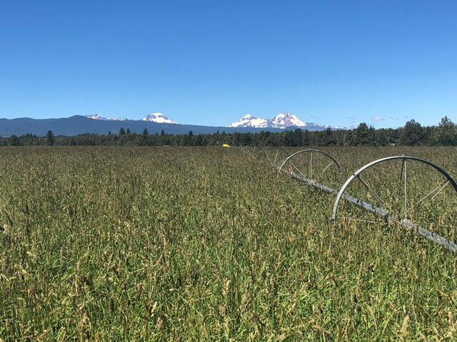 64095 Tamoli Lane, Bend, OR 97703