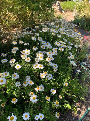 19155 Scenic Dr, Redwood Valley, CA 95470