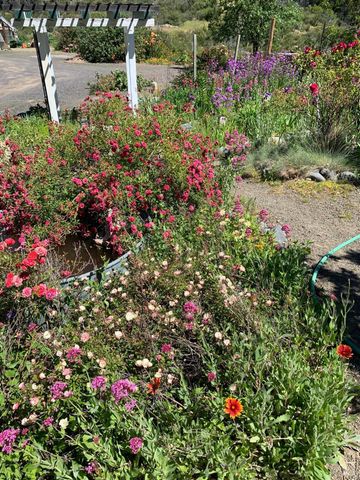 19155 Scenic Dr, Redwood Valley, CA 95470