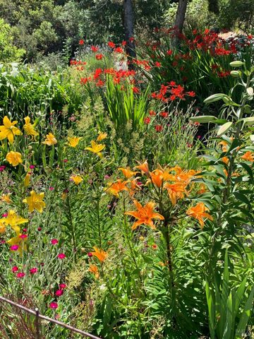 19155 Scenic Dr, Redwood Valley, CA 95470