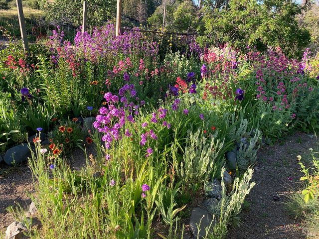 19155 Scenic Dr, Redwood Valley, CA 95470