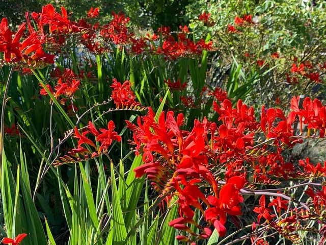 19155 Scenic Dr, Redwood Valley, CA 95470