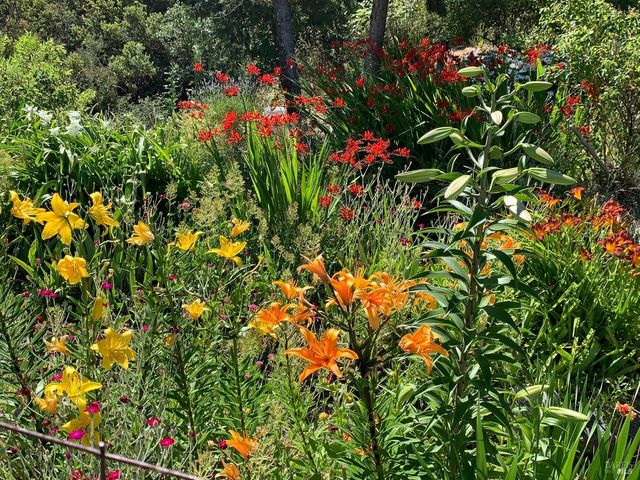 19155 Scenic Dr, Redwood Valley, CA 95470