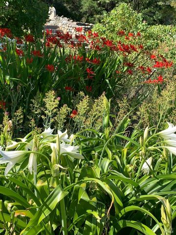 19155 Scenic Dr, Redwood Valley, CA 95470