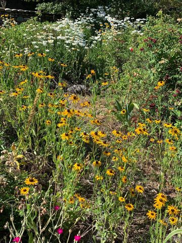 19155 Scenic Dr, Redwood Valley, CA 95470