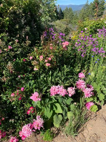 19155 Scenic Dr, Redwood Valley, CA 95470