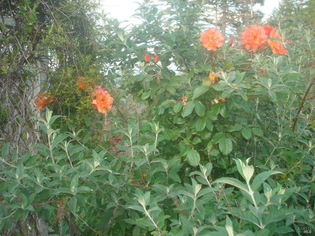 19155 Scenic Dr, Redwood Valley, CA 95470