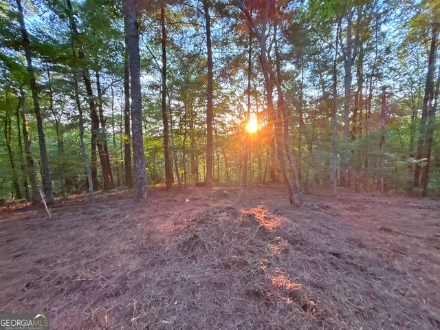 LOT 18 Mt. Springer Road, Ellijay, GA 30540