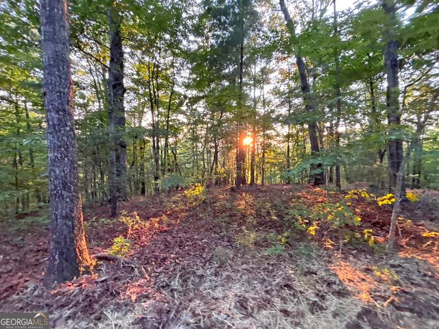 LOT 18 Mt. Springer Road, Ellijay, GA 30540