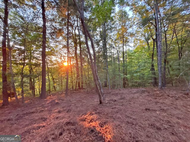LOT 18 Mt. Springer Road, Ellijay, GA 30540