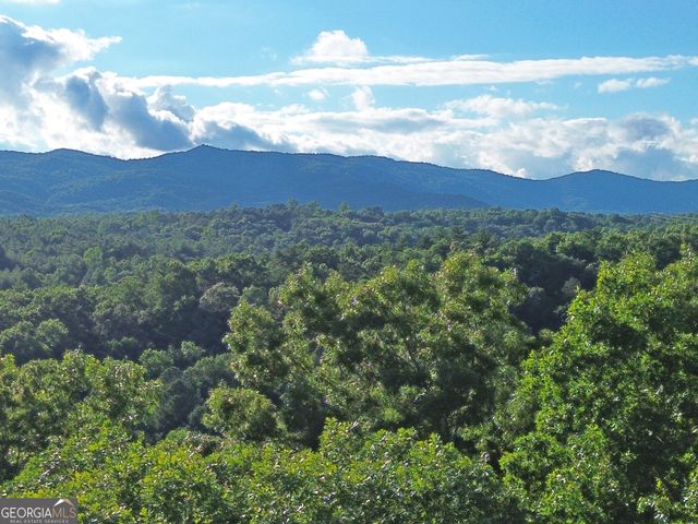 LOT 18 Mt. Springer Road, Ellijay, GA 30540