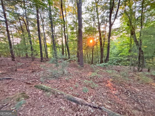 LOT 18 Mt. Springer Road, Ellijay, GA 30540