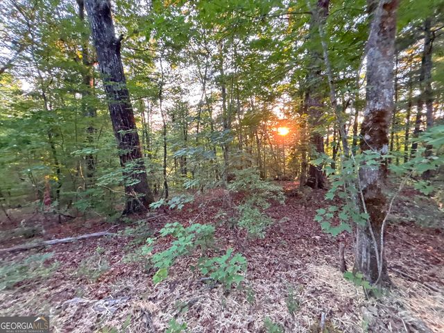 LOT 18 Mt. Springer Road, Ellijay, GA 30540