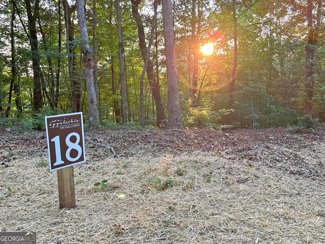 LOT 18 Mt. Springer Road, Ellijay, GA 30540