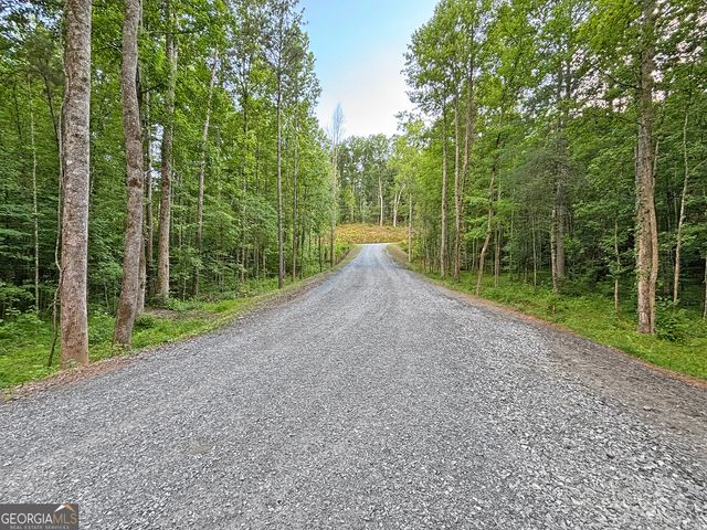 LOT 18 Mt. Springer Road, Ellijay, GA 30540