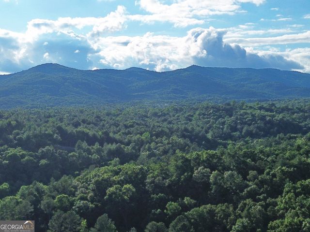 LOT 18 Mt. Springer Road, Ellijay, GA 30540