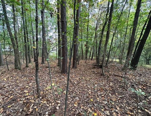 0 Villa Rica Highway, Dallas, GA 30157