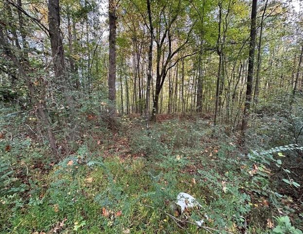 0 Villa Rica Highway, Dallas, GA 30157