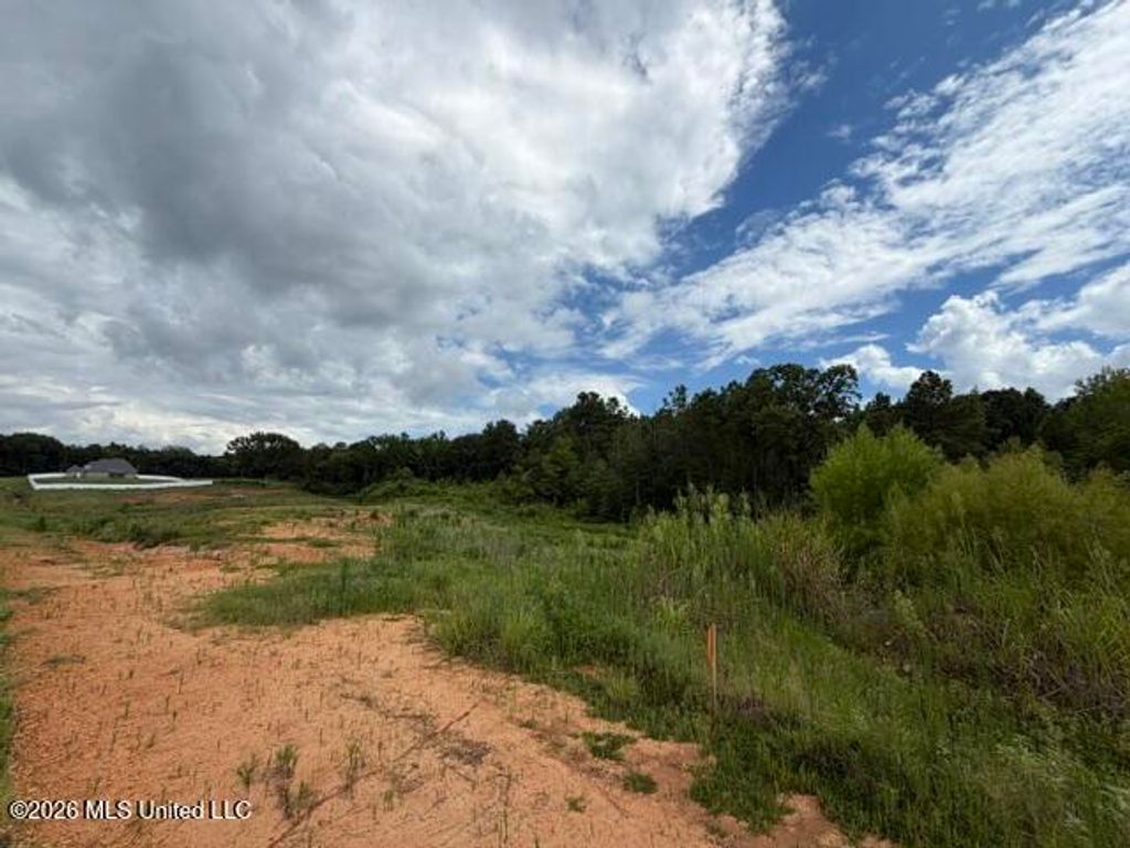 7 Taylor Nicole Road, Byhalia, MS 38611 — photo 2
