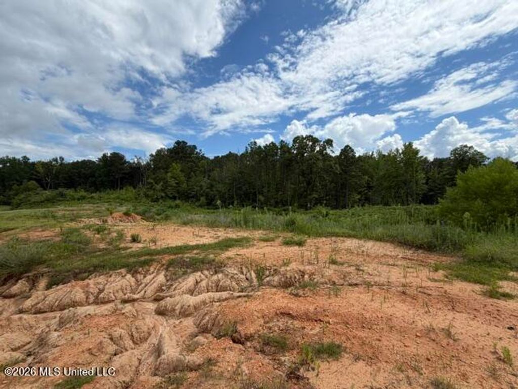 7 Taylor Nicole Road, Byhalia, MS 38611 — photo 3