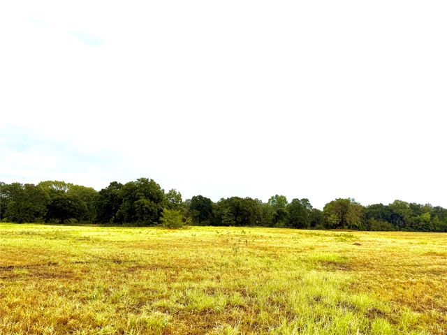 TBD Tract D FM 513 TX, Point, TX 75453