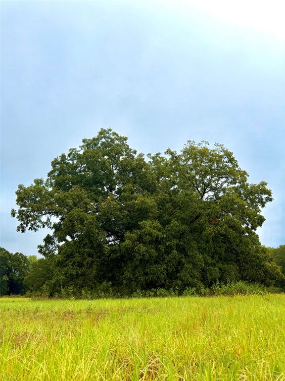 TBD Tract D FM 513 TX, Point, TX 75453