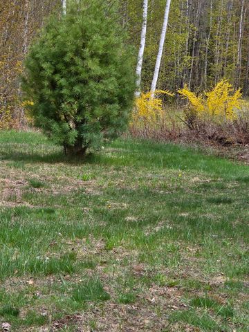 15 Antler Road, Campton, NH 03223