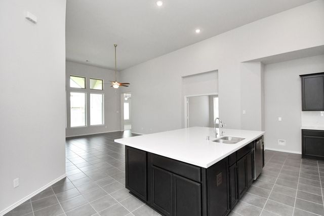 1242 Muscadine Hollow Lane, Richmond, TX 77406