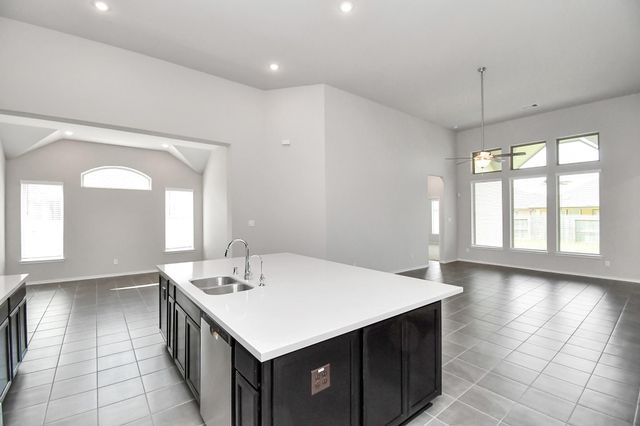 1242 Muscadine Hollow Lane, Richmond, TX 77406