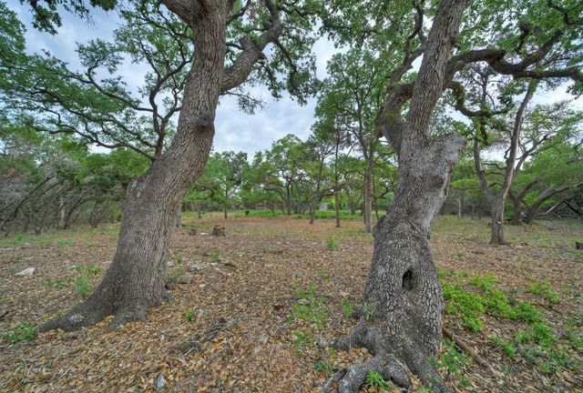 11916 Jim Bridger DR, Austin, TX 78737
