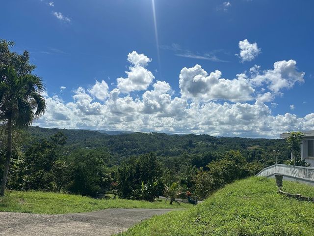 Bo. Candelaria SECTOR FATIMA RD 620 KM 2.3, Vega Alta, PR 00692